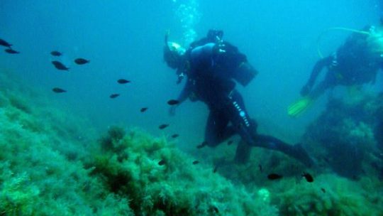 дайвинге на черном море