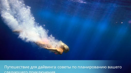 Мир под водой: Ваш путь к захватывающим приключениям дайвинга