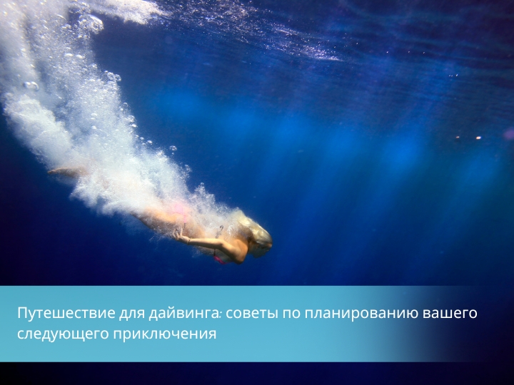 Мир под водой: Ваш путь к захватывающим приключениям дайвинга