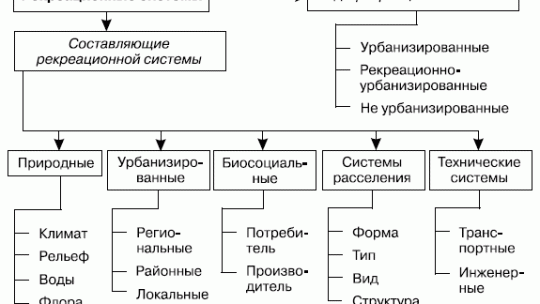Основные виды физической рекреации туризм пешие