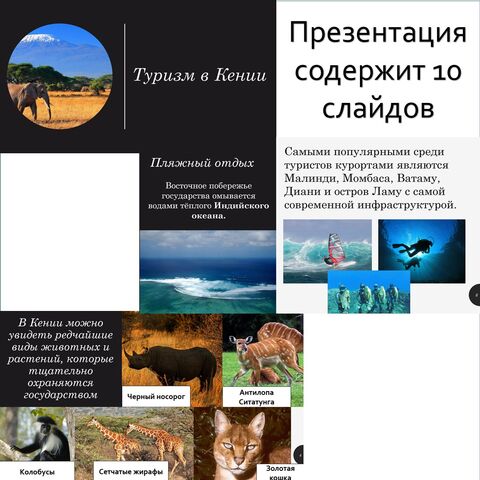 Презентация по экологическому туризму: новый взгляд на путешествия