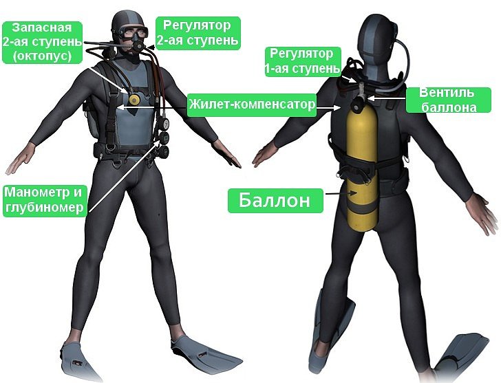 Снаряжение для дайвинга: три измерения правильного выбора
