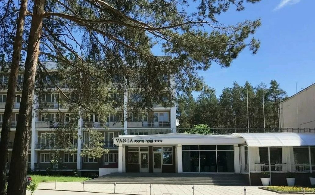 Отель во Владимире в сосновом парке: как хвойный аромат влияет на качество отдыха